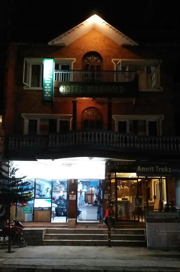 Hotel Marigold Pokhara Exterior photo