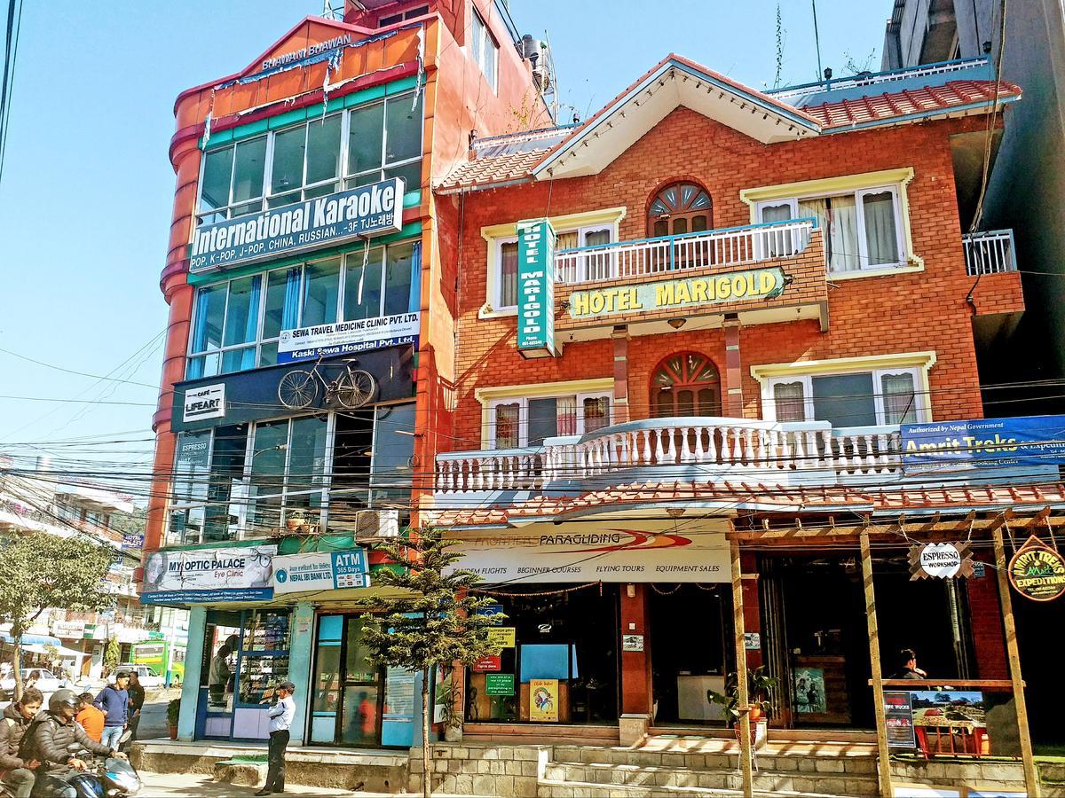 Hotel Marigold Pokhara Exterior photo
